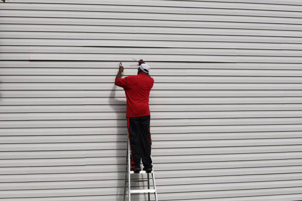 Best Brick Veneer Siding  in Corinth, MS